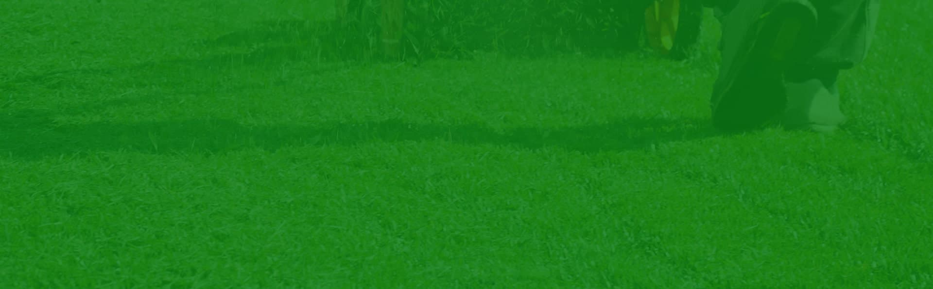 Contact us background